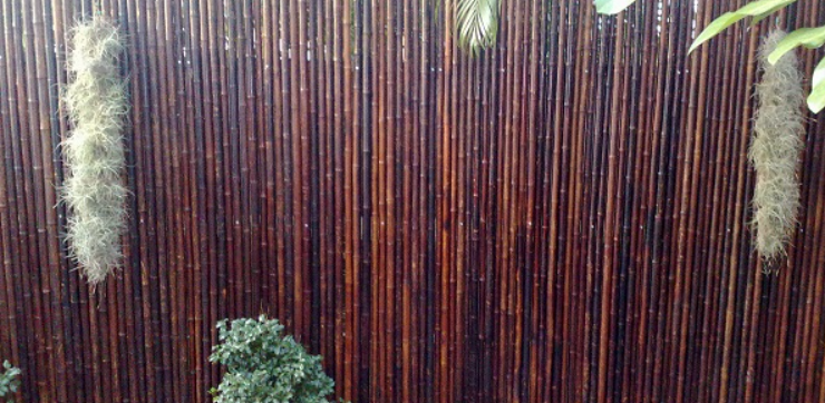 Natural Bamboo Poles for Sale