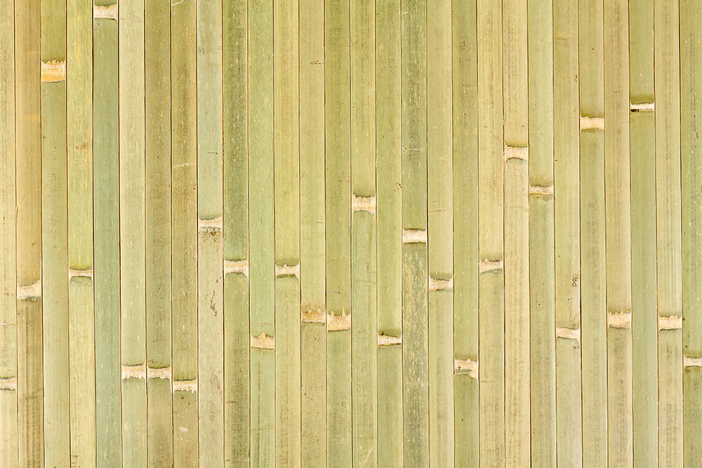 Bamboo Panel Raw Green