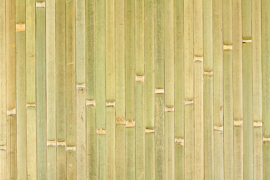 Bamboo Panel Raw Green