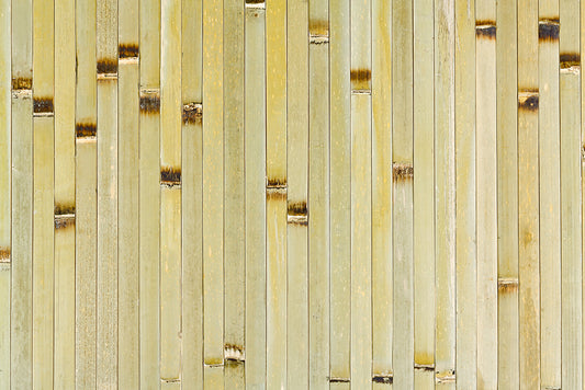 Bamboo Paneling Raw Green Burnt 4' x 8'