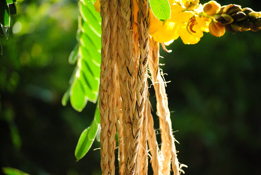 Sennit  Rope 3/4 inch x 100'