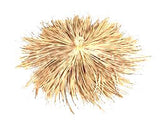 C5 Artificial Thatch Top Cone "Class A Fire Rated" - Palapa Umbrella Thatch Company Online C5 Artificial Thatch Top Cone "Class A Fire Rated" - Palapa Umbrella Thatch Company Online