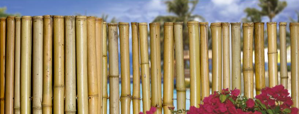 Natural Bamboo Fencing from Sunset Bamboo