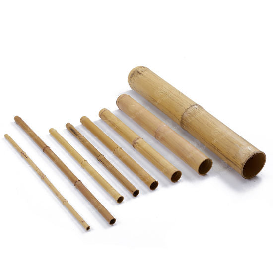 6" x 4ft Natural Bamboo Poles