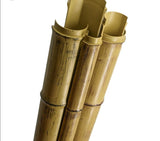 Buy Online 3 x 8 foot Natural Bamboo Poles -Buy Bamboo Pole 