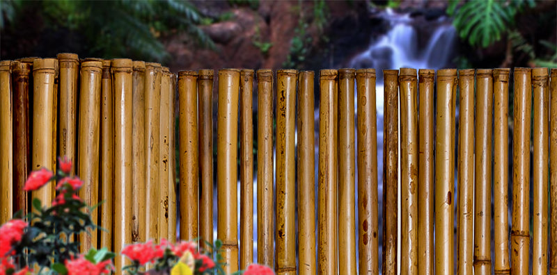 Bamboo Fence Carbonized 1" x 3' x 8'