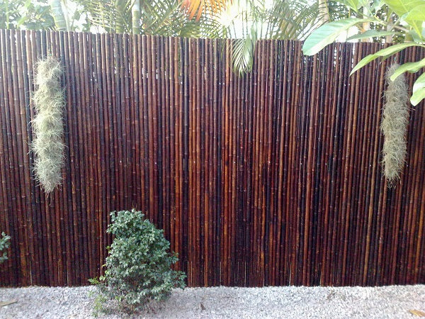 Bamboo Fence Mahogany 1" x 3' x 8'