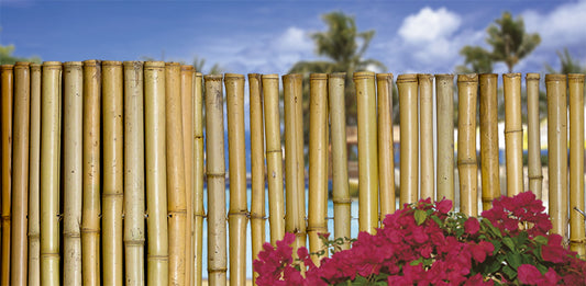 Bamboo Natural Fence 1" X 4' X 8'