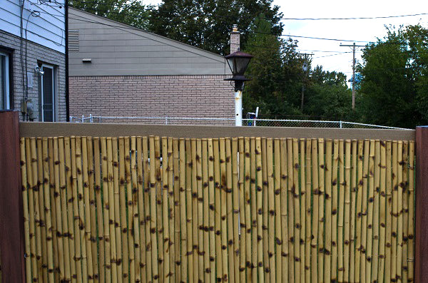 Bamboo Fence Tigerboo 1" x 4' x 8'
