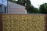Bamboo Fence Tigerboo 1" x 3' x 8'