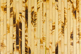 Bamboo Panel Tortoise